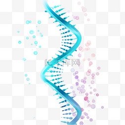 DNA分子集