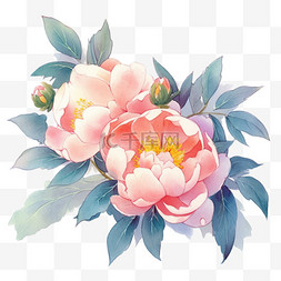 盛开的粉色花瓣图片_水粉色水彩插画元素盛开牡丹花