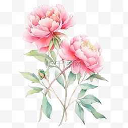 粉色盛开牡丹花手绘元素绿色枝叶