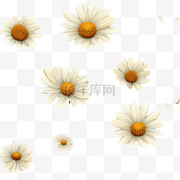 赏菊风俗菊花花卉底纹纹理重阳节