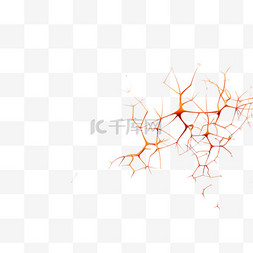 神经外壳图片_神经连接