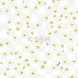 赏菊习俗菊花花卉底纹纹理重阳节