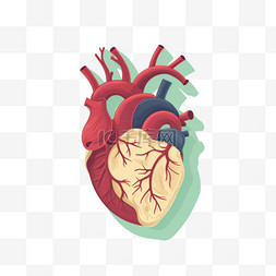 心脏病守护保护心脏世界心脏病