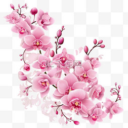 花朵装饰图案图片_蝴蝶兰ai花朵元素立体免扣图案