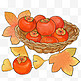 秋天秋季美食柿子描边