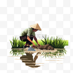 白天在田里种水稻的人