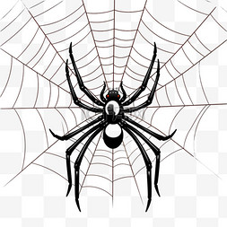 万圣节蜘蛛卡通织网手绘元素