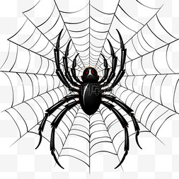 蜘蛛万圣节织网卡通手绘元素