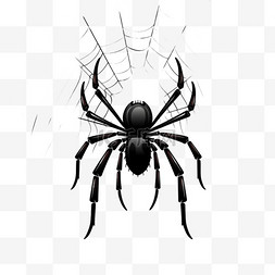 巨型蜘蛛图片_万圣节蜘蛛织网卡通元素手绘
