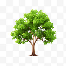 种一棵树