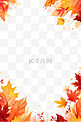 枫叶边框卡通手绘元素感恩节
