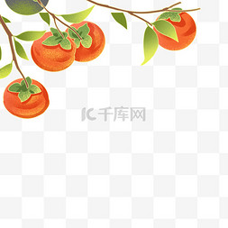 国潮节秋天柿子
