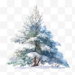 冬天覆盖雪的松树手绘元素卡通