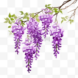 紫藤花真实植物元素立体免扣图案