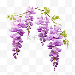 紫藤花特色植物元素立体免扣图案