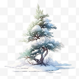 覆盖雪的松树卡通冬天手绘元素