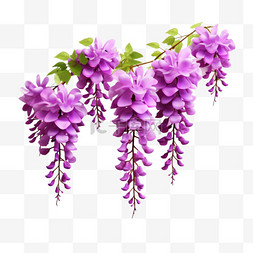 紫藤花紫色美丽植物元素立体免扣