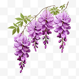 紫藤花写实植物元素立体免扣图案