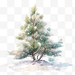冬天手绘覆盖雪的松树卡通元素