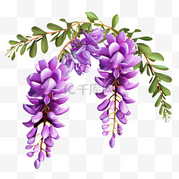 紫藤花植物花朵元素立体免扣图案