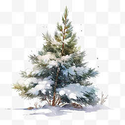 手绘冬天覆盖雪的松树卡通元素
