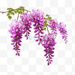 紫藤花长廊图片_紫藤花图形植物元素立体免扣图案