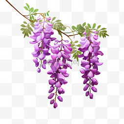 紫藤花纹理植物元素立体免扣图案