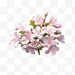 粉色纹理花朵元素立体免扣图案