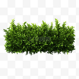 草丛植被图片_草丛植被绿化元素立体免扣图案