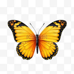 蝴蝶昆虫黄色元素立体免扣图案