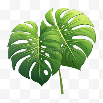 植物特色龟背竹元素立体免扣图案