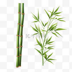 竹子竹竿植物元素立体免扣图案
