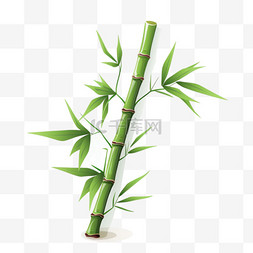 竹子手绘植物元素立体免扣图案
