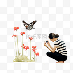 女人在一朵花上拍摄一只蝴蝶