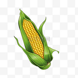玉米长寿食物元素立体免扣图案