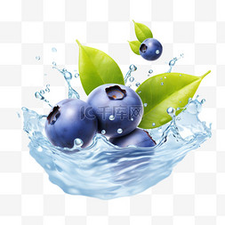 蓝莓水果水花元素立体免扣图案