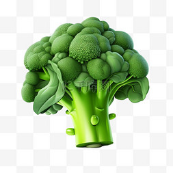 花椰菜质感植物元素立体免扣图案