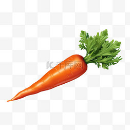 立体胡萝卜图片_食物胡萝卜素材元素立体免扣图案
