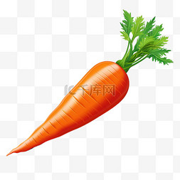 胡萝卜和土图片_食物胡萝卜几何元素立体免扣图案
