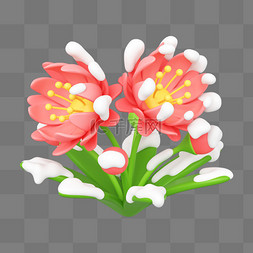 冬季花朵图片_C4D冬季冰雪植物君子兰花草