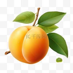 黄桃水果写实元素立体免扣图案