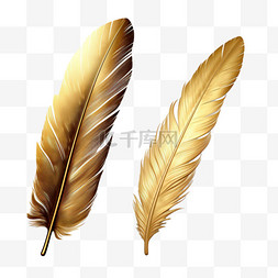 金色质感羽毛图片_金色羽毛质感元素立体免扣图案
