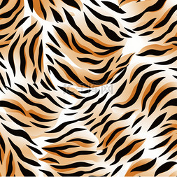 抽象斑马纹图片_动物皮毛无缝花纹豹子、老虎、斑