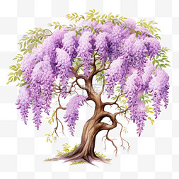 紫藤花长廊图片_紫藤树木特色元素立体免扣图案