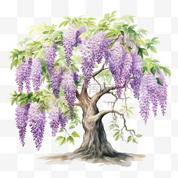 紫藤树木AICG元素立体免扣图案