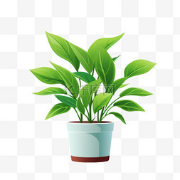 关于植物的视频博客