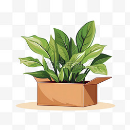 关于植物的视频博客