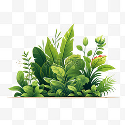 关于冲茶的视频图片_关于植物的视频博客
