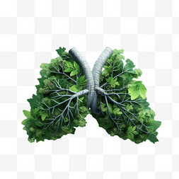 肺部卡通图片_卡通肺部健康元素立体免扣图案