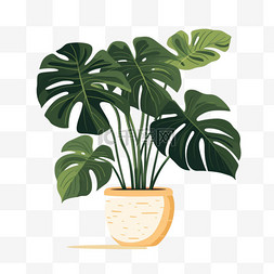 合成植物图片_合成植物盆栽元素立体免扣图案